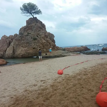 Lydia's With Castle View Apartment