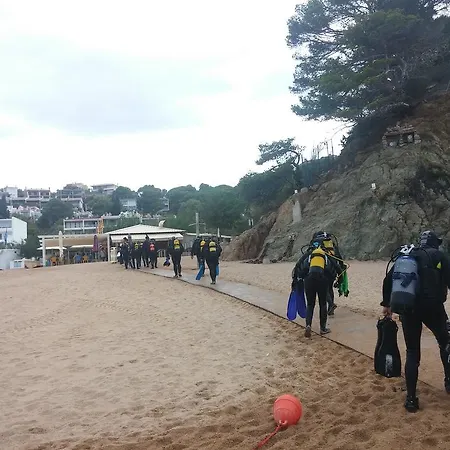 Lydia's With Castle View Daire *