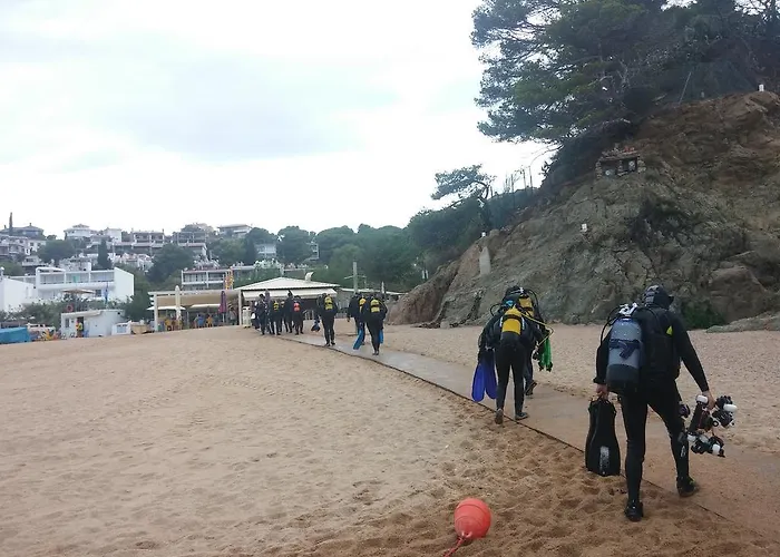 Lydia's With Castle View 公寓 *